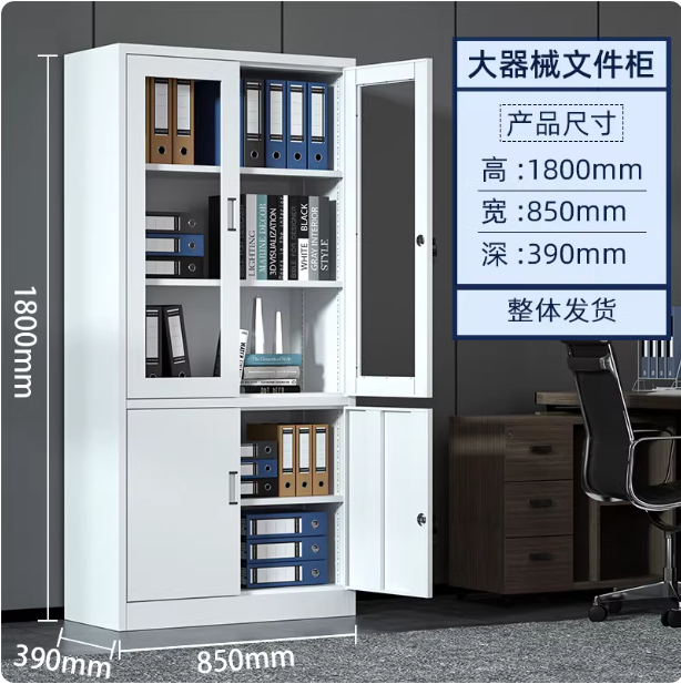 办公室铁皮柜