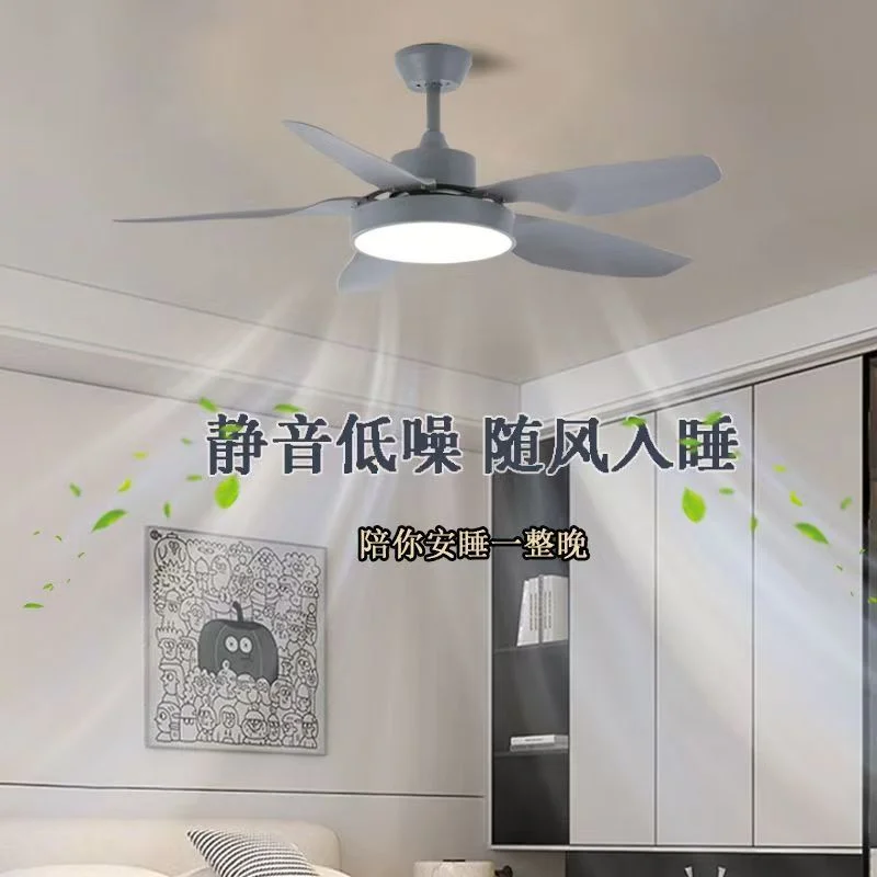 缩略图 2